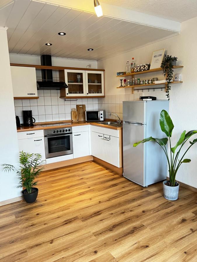 Apartamento Auszeit-Winterberg Exterior foto